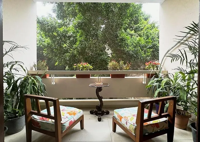 Tree House, Zamalek