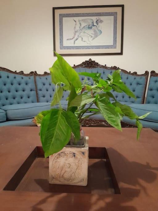 Apartment Tree House, Zamalek *