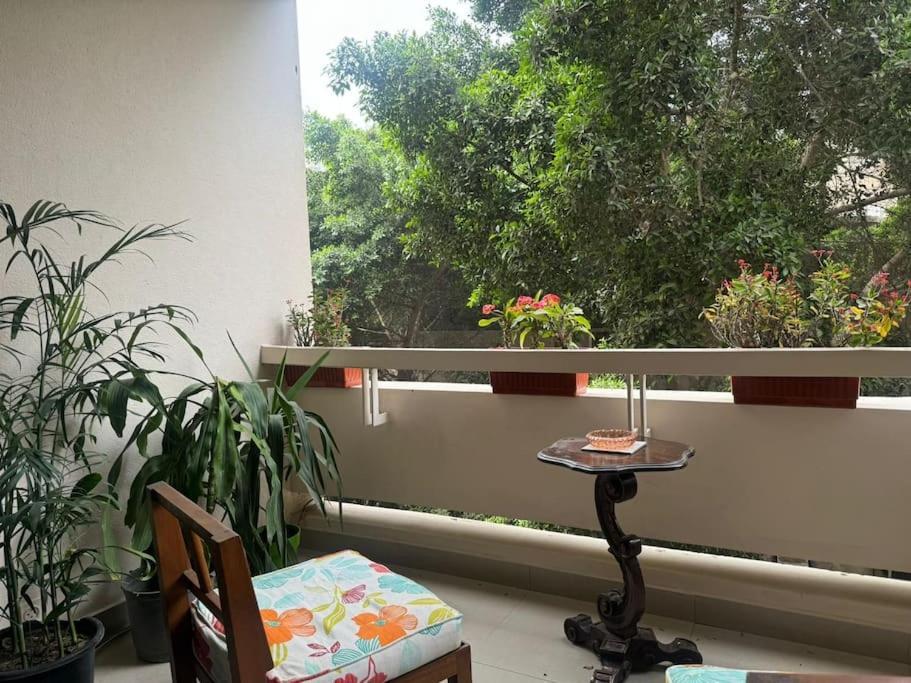Tree House, Zamalek Apartment Cairo