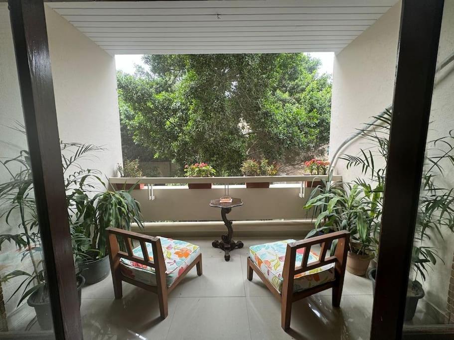 Tree House, Zamalek * Cairo