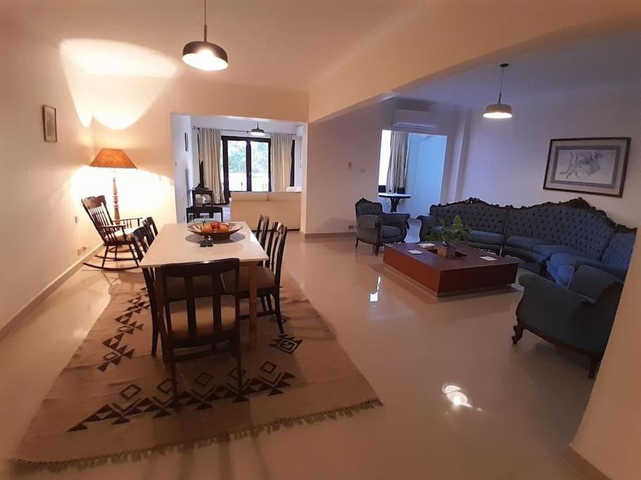 Tree House, Zamalek Apartment